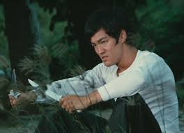 bigboss bruce lee