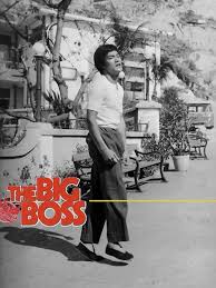 bigboss bruce lee