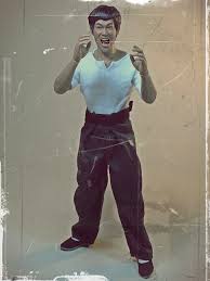 bigboss bruce lee