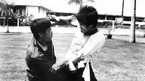 bigboss bruce lee