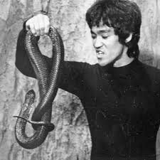 operation dragon bruce lee