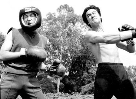 Description de l'image